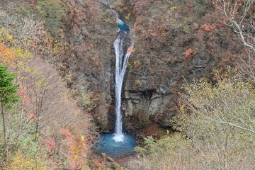 Naklejka premium 展望台から見おろす紅葉に囲まれた駒止の滝の情景＠那須、栃木
