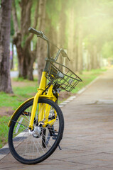 Yellow bicycle still on road in public garden with soft warm light