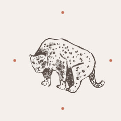 Realistic illustration of leopard. Drawn a vector