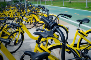 Yellow bicycle still on road in public garden
