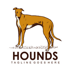 Hound Logo Vector Template, Design element for logo, poster, card, banner, emblem, t shirt. Vector illustration