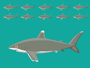 Animal Animation Sequence Oceanic Whitetip Shark Cartoon Vector