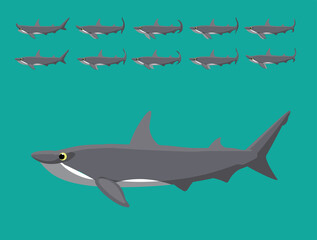 Animal Animation Sequence Hammerhead Shark Cartoon Vector