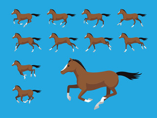 Animation Sequence Arabian Horse Running Cartoon Vector Illustration