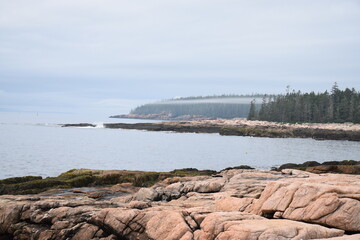 Ship Harbor Trail - Acadia National Park Maine. A thin mist passes along the coastline between rain showers during summer