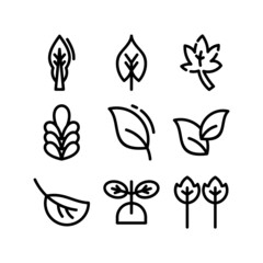 leaf icon or logo isolated sign symbol vector illustration - high quality black style vector icons
