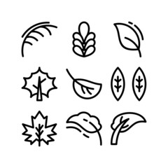 leaf icon or logo isolated sign symbol vector illustration - high quality black style vector icons

