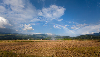 Ricefield after havest season