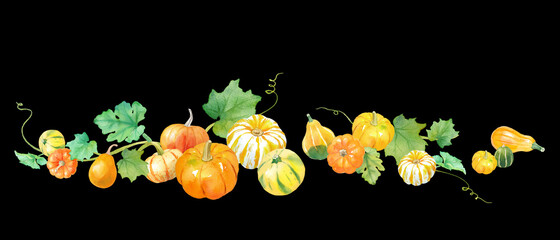 サンクスギビングデー、ハロウィンの装飾水彩イラスト。カラフルなおもちゃカボチャ。秋の収穫イメージ。