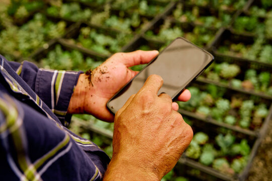 Close up of gardener hands working with a smartphone in a greenhouse