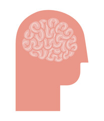 brain and head silhouette
