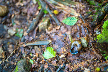 富山県中新川郡上市町の中山から立山の剱岳を望む登山をしている風景 A view of mountain climbing with a view of Tsurugidake in Tateyama from Nakayama in Kamiichi Town, Nakashinagawa County, Toyama Prefecture.
