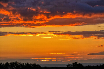 Fototapeta na wymiar sunrise over a field