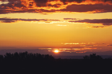 sunrise over a field