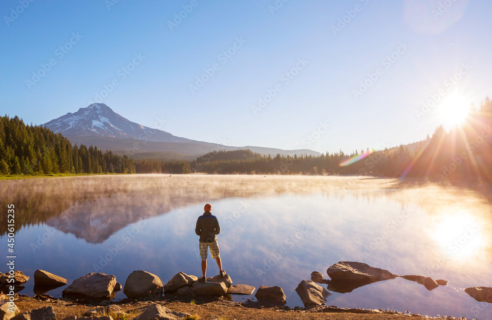 Wall mural mt hood