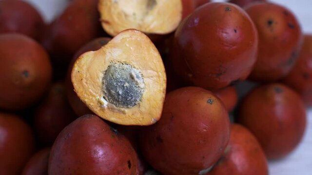 Close up pan of chontaduro fruit with seed pip from amazon rainforest jungle in Ecuador