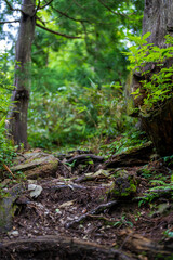 富山県中新川郡上市町の中山から立山の剱岳を望む登山をしている風景 A view of mountain climbing with a view of Tsurugidake in Tateyama from Nakayama in Kamiichi Town, Nakashinagawa County, Toyama Prefecture.
