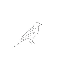Bird silhouette line drawing vector illustration