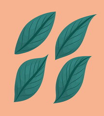 Fototapeta premium four green leaves