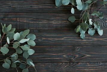 green eucalyptus leaves frame on a brown wooden background.  top view. copy space.