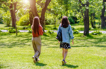 Two girlfriends walk along a path in the Park
