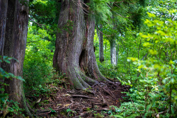 富山県中新川郡上市町の中山から立山の剱岳を望む登山をしている風景 A view of mountain climbing with a view of Tsurugidake in Tateyama from Nakayama in Kamiichi Town, Nakashinagawa County, Toyama Prefecture.