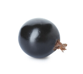 Ripe black currant on white background