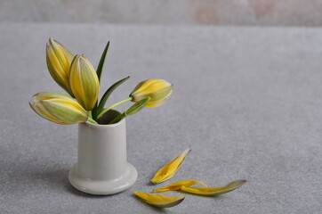 Yellow tulips in a white ceramic stack.