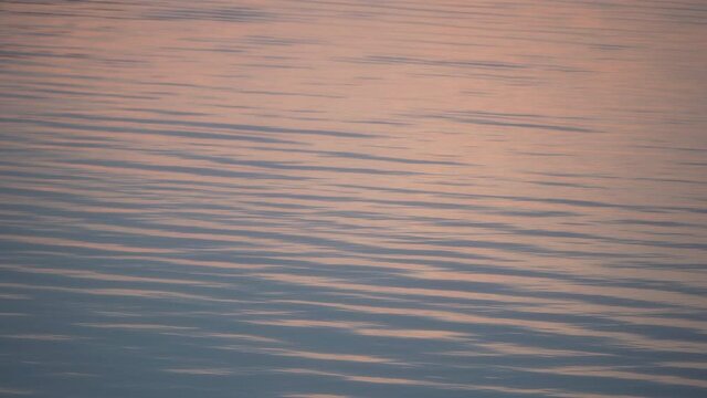 Early morning light reflects off the calm waves of Lake Champlain in North Hero, Vermont.  The sun is starting to peak through the clouds as we get into golden hour on this cool, summer day.