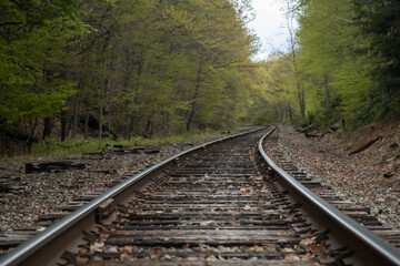 Fototapeta premium A view into curved and disappearing railroad tracks with trees on both sides