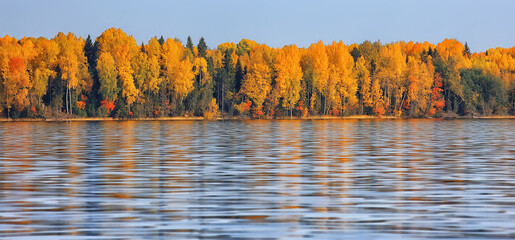 scenic, autumn landscape trees and forest river and lake, nature view fall background