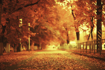 sunny landscape in fall park, autumn season background orange park