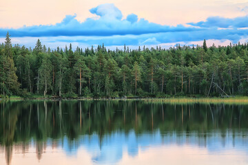 summer landscape in forest background panorama nature summer season landscape trees