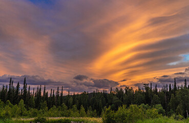 evening nature of the celestial teeth