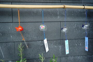 Each furin has a different sound.
