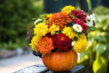 A beautiful autumn bouquet in a pumpkin on a wooden bench in the garden. Garden flowers. Thanksgiving day. - Powered by Adobe