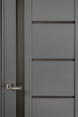 Modern gray door with metal handle in new appartment