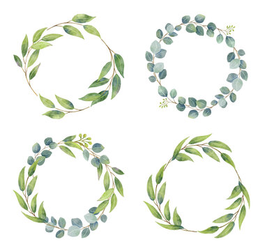 Eucalyptus Branches Wreaths With Watercolor Style.  Wedding Greenery In Circle Decorative Design Elements.