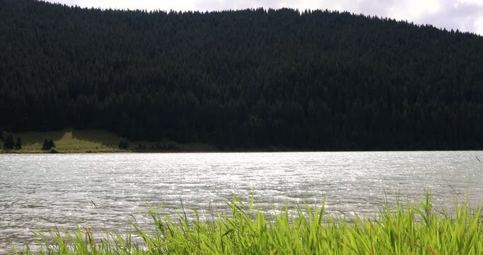 Scenic View Of Flowing Water Of Frumoasa Dam (Barajul Frumoasa) In Harghita County, Romania With Forested Mountain In Background On A Windy Day. static