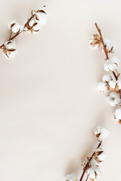 Dry cotton flowers branches frame on beige background top view with copy space. poster