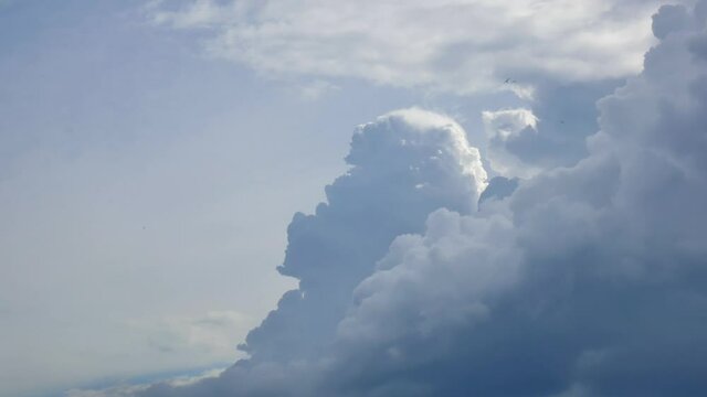 Massive rain clouds, cumulus congestus or towering cumulus, rise high into the sky