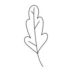 Autumn vector line hand - drawn leaves. EPS10