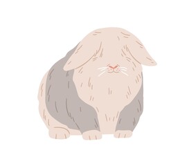Cute lop angora rabbit. Happy fuzzy ram bunny standing. Domestic animal with fluffy fur on eyes. English coney pet. Flap-eared breed of rodent. Flat vector illustration isolated on white background