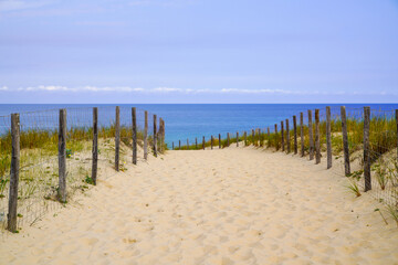 Coast water access sand dune pathway fence to ocean beach atlantic coast in Cap-Ferret in France