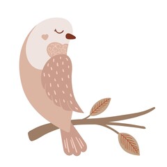 Boho bird sitting on the twig clip art. Rustic clipart with cute animal isolated on white background. Pastel colors
