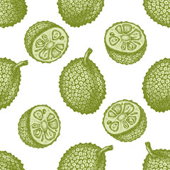 Seamless pattern with hand drawn pastel jackfruit