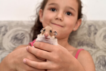 Obraz premium Young girl sitting on the sofa and holding her pet hamster. Friendship of child and animal. Keeping pets at home, care and love of animals concept. 