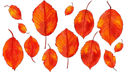 Obraz premium hand drawn watercolor illustration autumn leaves