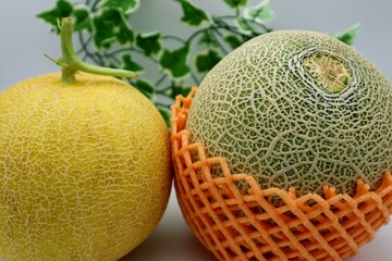 日本で収穫されたメロン