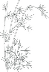 simple vector bamboo tree. Flat line design. Set of elegant floral elements for graphic and web design. Decorative vintage line elements collection. Vector illustration